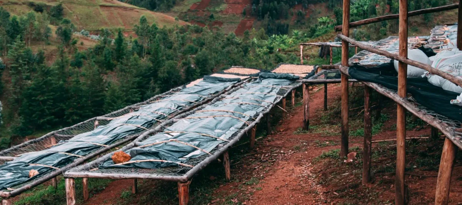 Kaffeekultur in jeder Tasse erleben